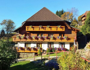 Bühlhof Todtnauberg Wohnung 1